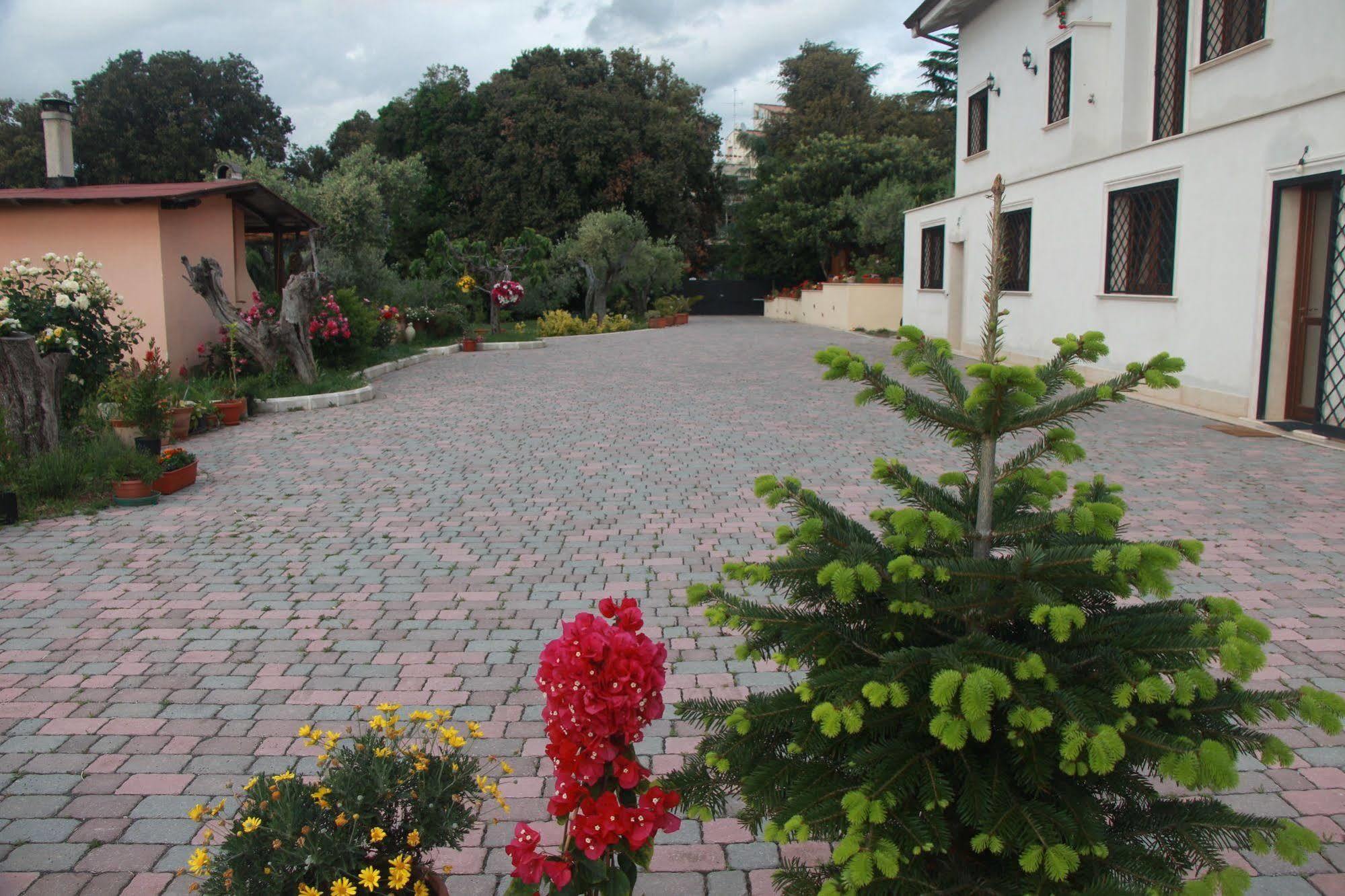 B&B La Terrazza Di Frascati Exterior photo